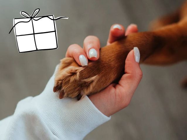 Patenschaften als Geschenk